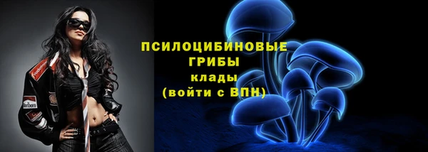 не бодяженный Алексин