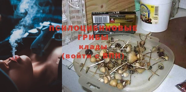 не бодяженный Алексин