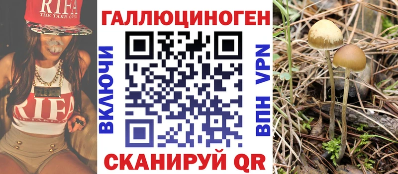 Псилоцибиновые грибы ЛСД  Новоаннинский 